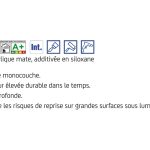 SIGMA MONOXANE MAT (15litres Disponible seulement en magasin.) – Image 3
